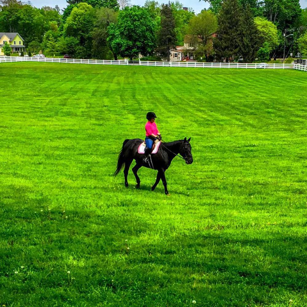 Meet your Posher, Elizabeth